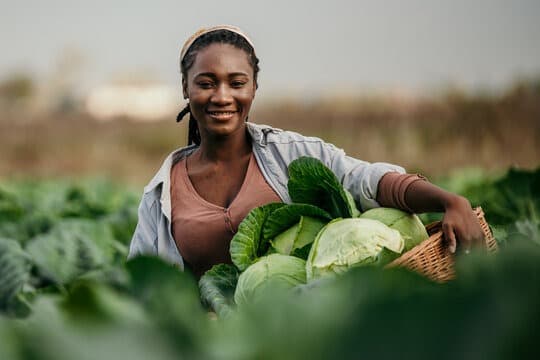 Farmer 1